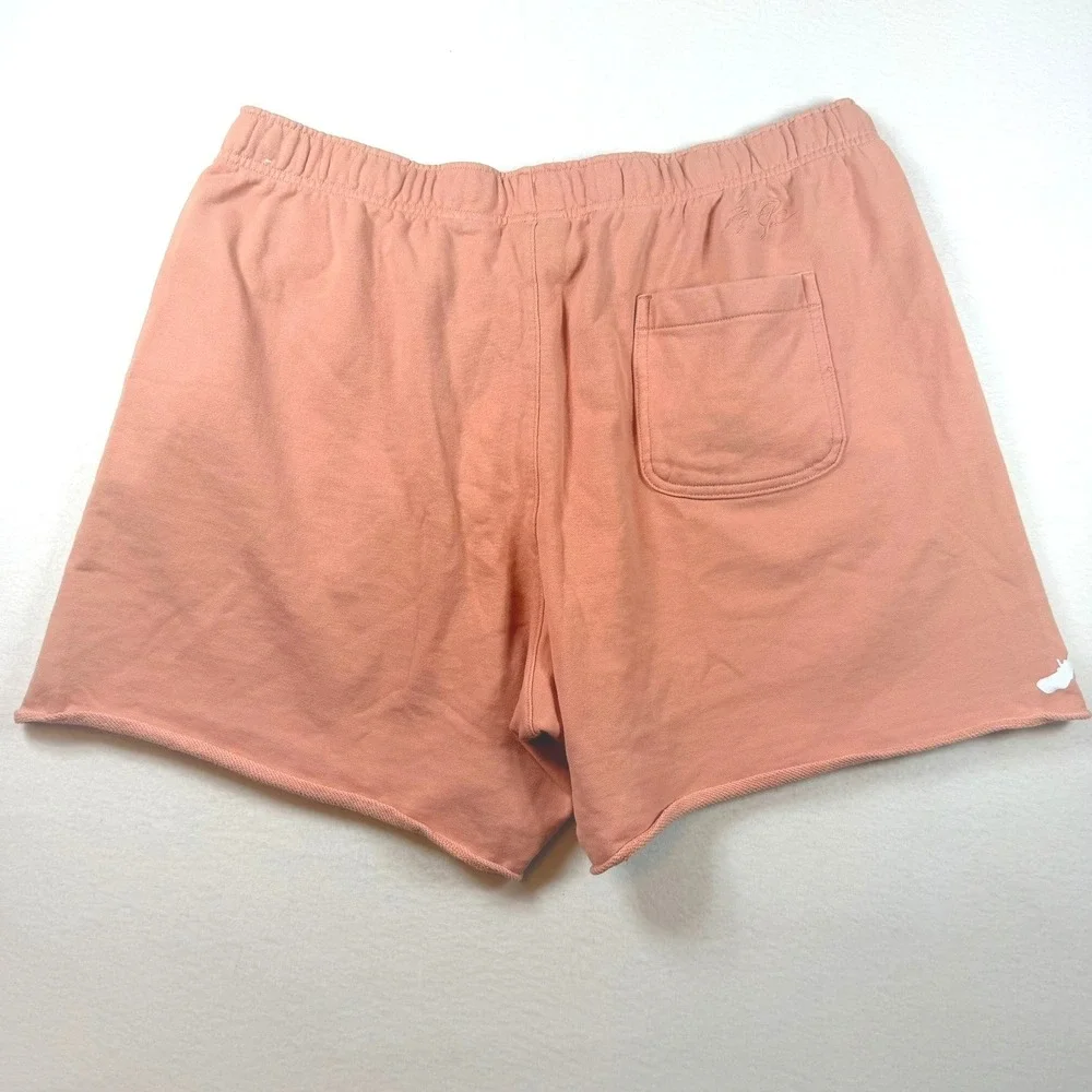 Jordan Essentials Mens Fleece Shorts Arctic Orange Jumpman DM1359-824 3XL